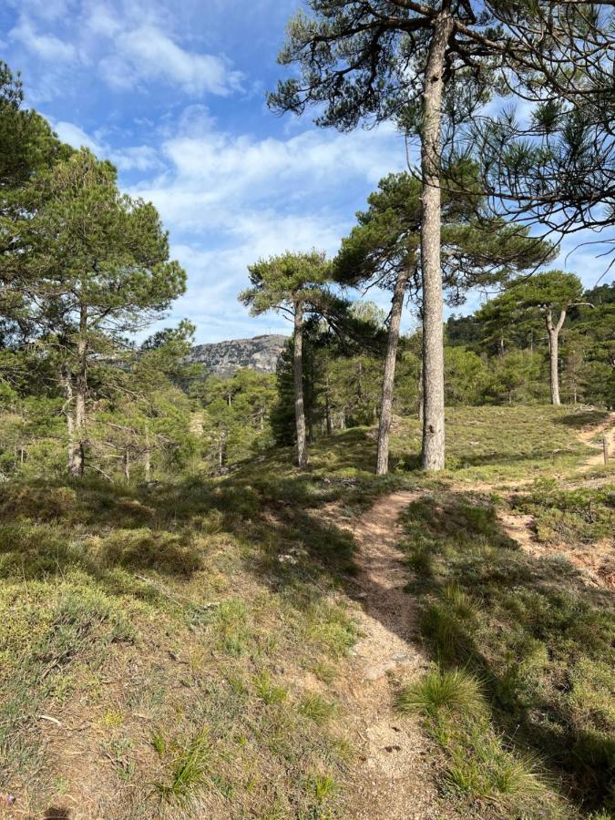 Duplex Rio Madera Lejlighed Segura de la Sierra Eksteriør billede